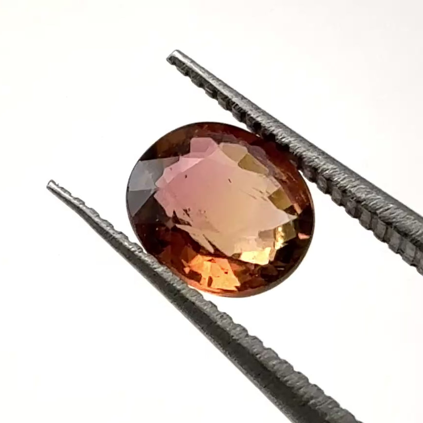Golden Amber Nigerian Tourmaline - Oval - .95ct